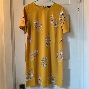 Ann Taylor Factory Dress
